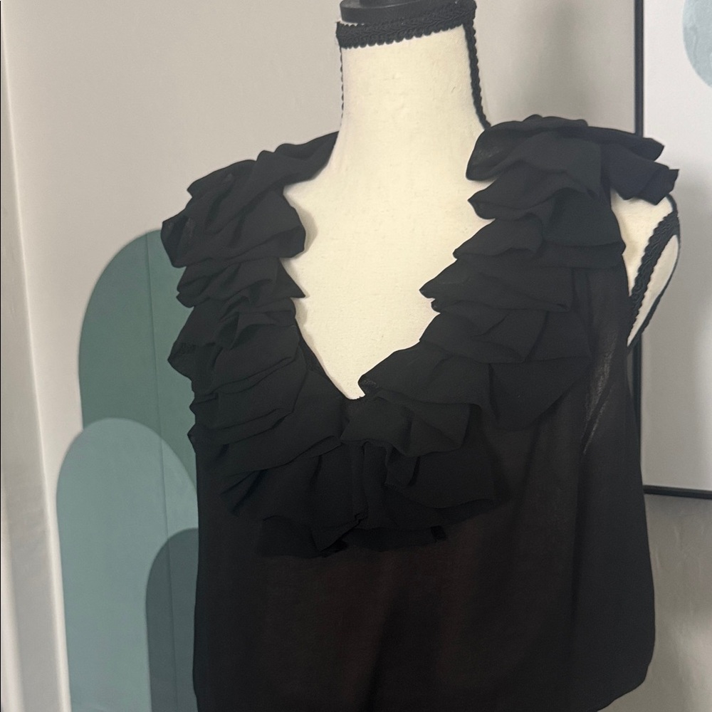 Ark & Co Black Ruffle V-Neck Blouse
